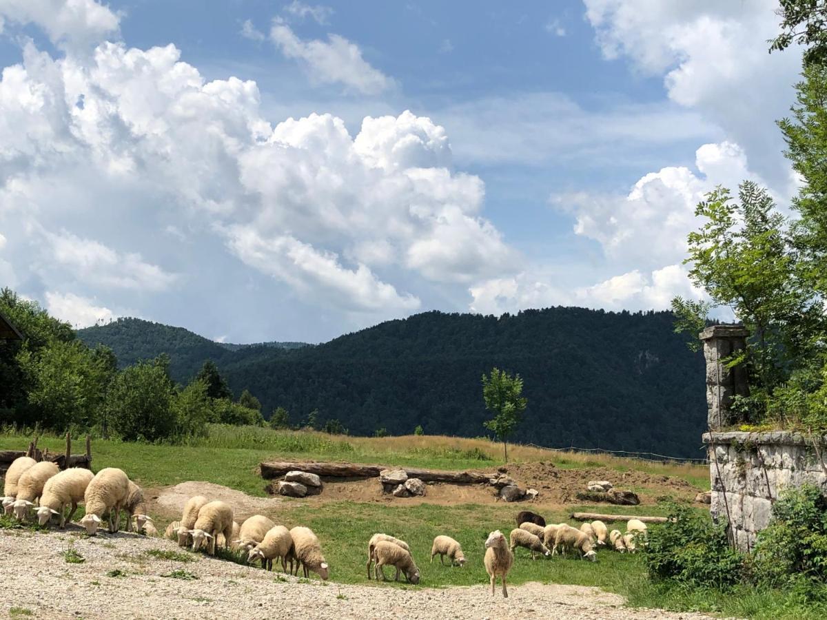 B&B Mad Mountain Robidisce Buitenkant foto