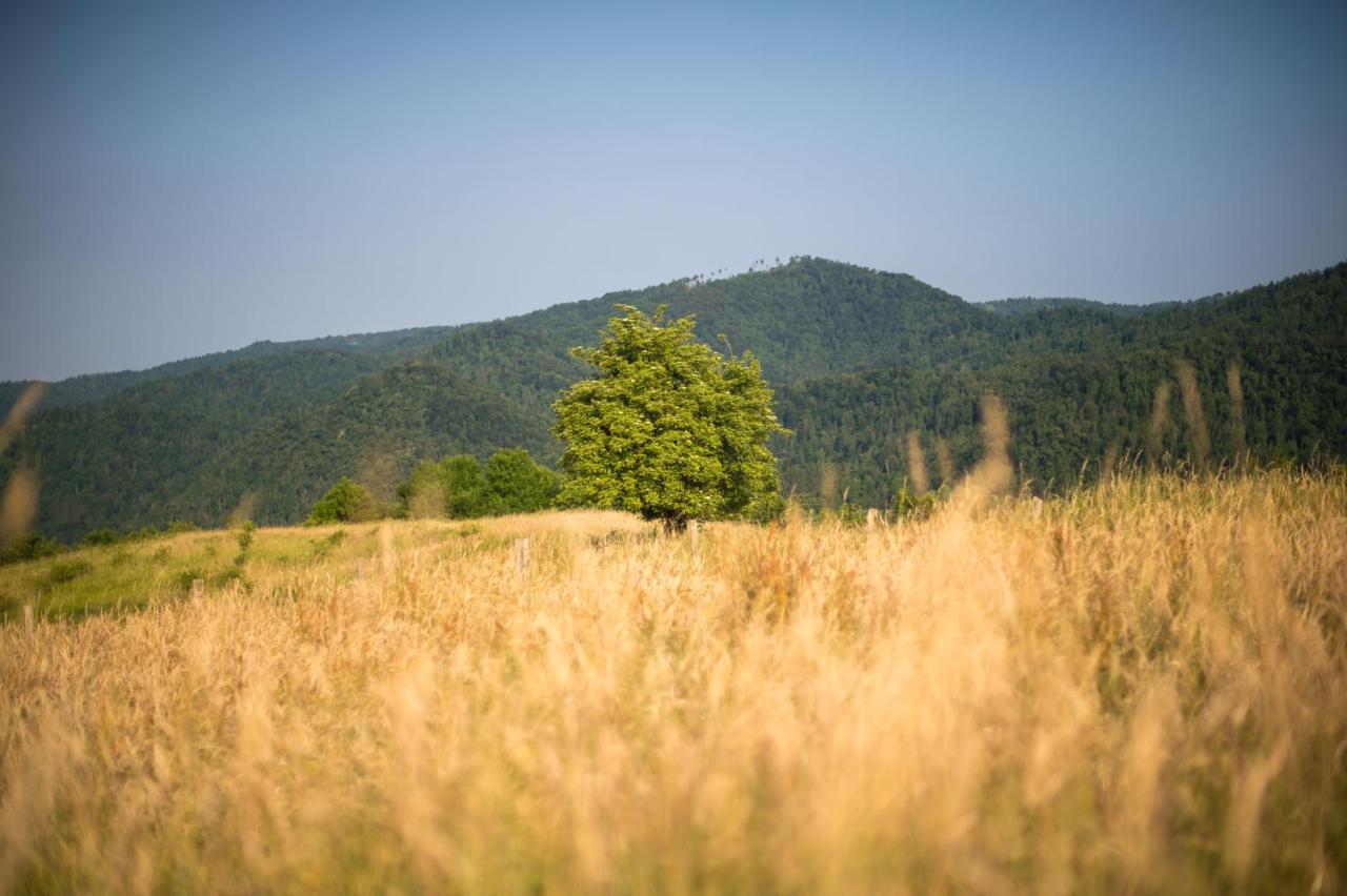 B&B Mad Mountain Robidisce Buitenkant foto